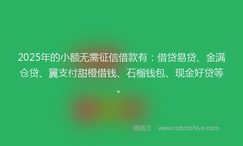 2025年的小额无需征信借款有：借贷易贷、金满仓贷、翼支付甜橙借钱、石榴钱包、现金好贷等。