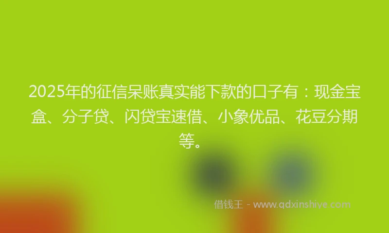 2025年的征信呆账真实能下款的口子有：现金宝盒、分子贷、闪贷宝速借、小象优品、花豆分期等。