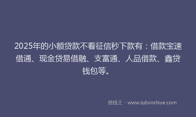 2025年的小额贷款不看征信秒下款有：借款宝速借通、现金贷易借融、支富通、人品借款、鑫贷钱包等。