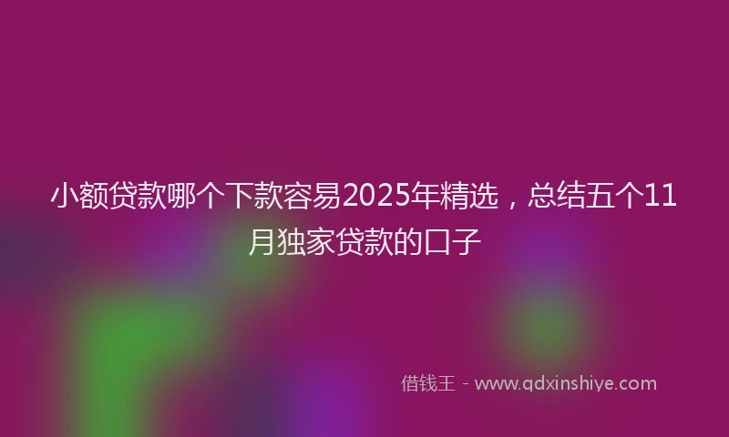 小额贷款哪个下款容易2025年精选，总结五个11月独家贷款的口子