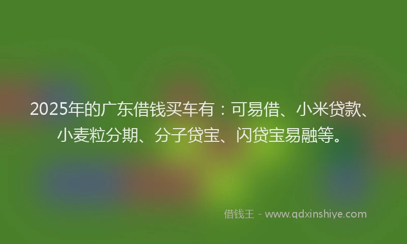 2025年的广东借钱买车有：可易借、小米贷款、小麦粒分期、分子贷宝、闪贷宝易融等。
