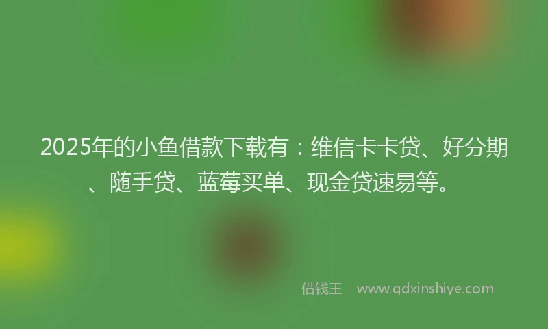 2025年的小鱼借款下载有：维信卡卡贷、好分期、随手贷、蓝莓买单、现金贷速易等。