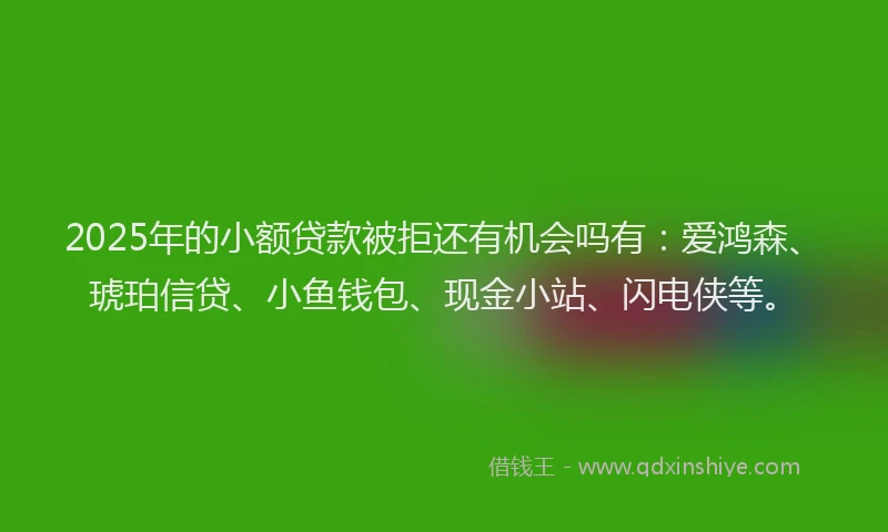 2025年的小额贷款被拒还有机会吗有：爱鸿森、琥珀信贷、小鱼钱包、现金小站、闪电侠等。