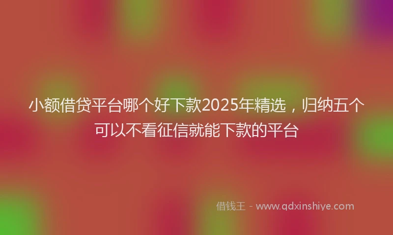 小额借贷平台哪个好下款2025年精选，归纳五个可以不看征信就能下款的平台