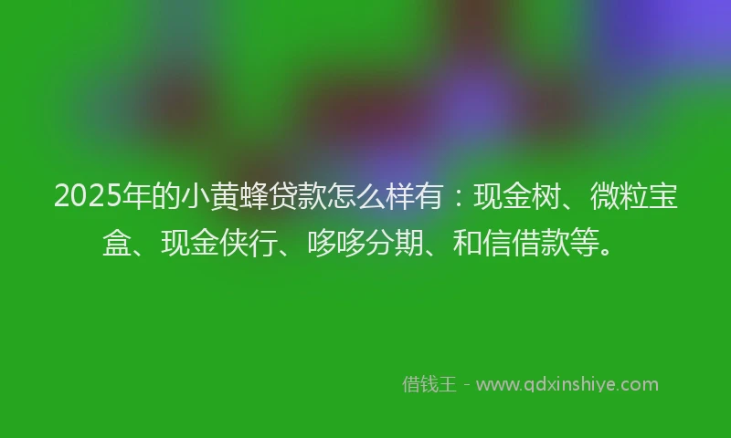 2025年的小黄蜂贷款怎么样有：现金树、微粒宝盒、现金侠行、哆哆分期、和信借款等。