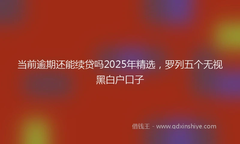 当前逾期还能续贷吗2025年精选，罗列五个无视黑白户口子