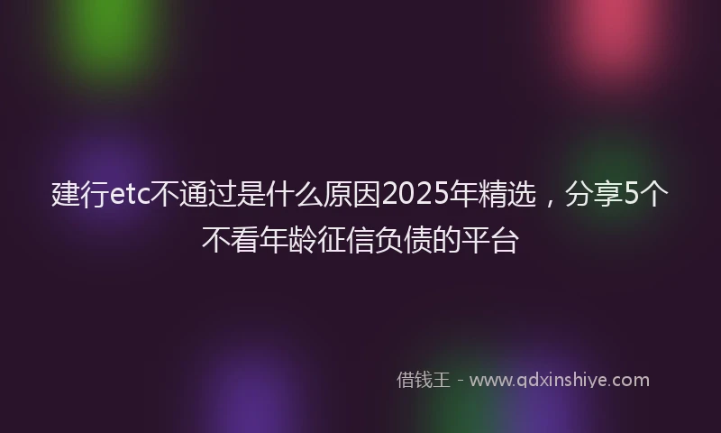 建行etc不通过是什么原因2025年精选，分享5个不看年龄征信负债的平台