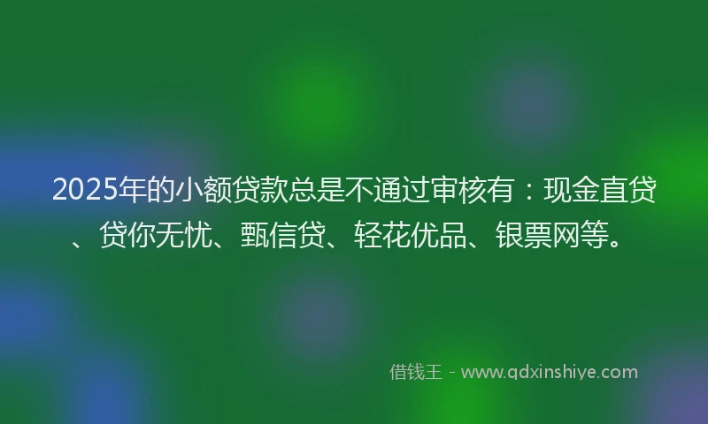 2025年的小额贷款总是不通过审核有：现金直贷、贷你无忧、甄信贷、轻花优品、银票网等。