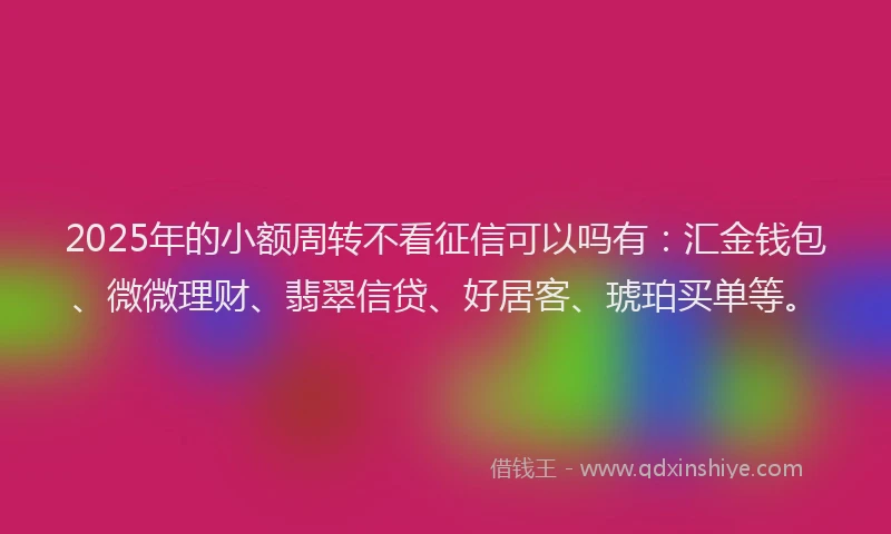 2025年的小额周转不看征信可以吗有：汇金钱包、微微理财、翡翠信贷、好居客、琥珀买单等。