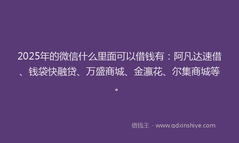 2025年的微信什么里面可以借钱有：阿凡达速借、钱袋快融贷、万盛商城、金瀛花、尔集商城等。