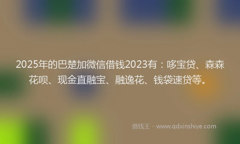 2025年的巴楚加微信借钱2023有：哆宝贷、森森花呗、现金直融宝、融逸花、钱袋速贷等。