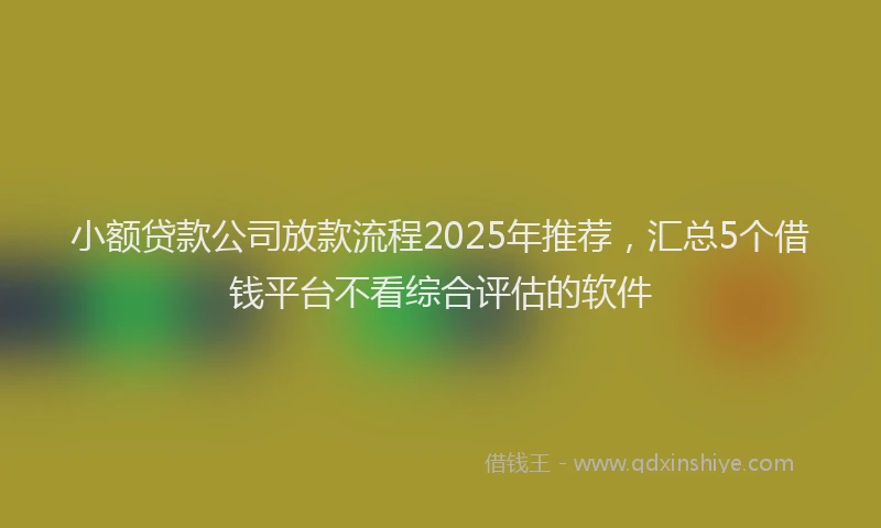 小额贷款公司放款流程2025年推荐，汇总5个借钱平台不看综合评估的软件