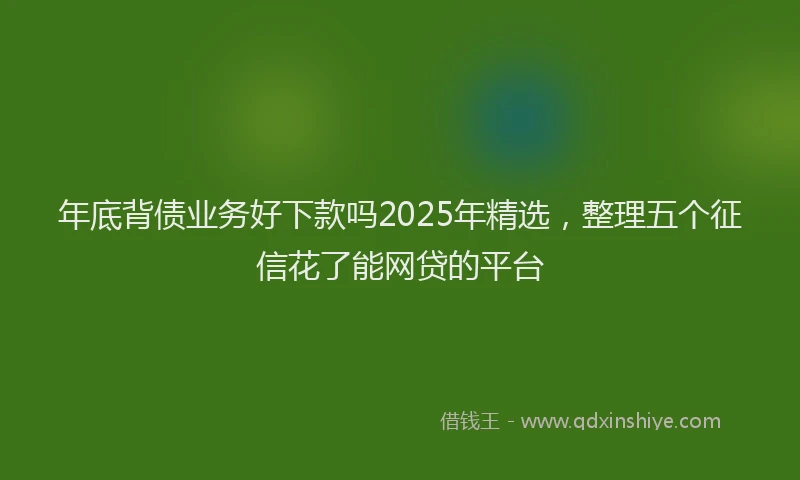 年底背债业务好下款吗2025年精选，整理五个征信花了能网贷的平台