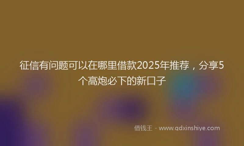 征信有问题可以在哪里借款2025年推荐，分享5个高炮必下的新口子