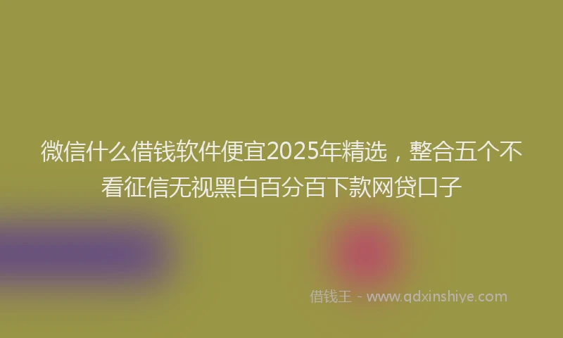 微信什么借钱软件便宜2025年精选，整合五个不看征信无视黑白百分百下款网贷口子