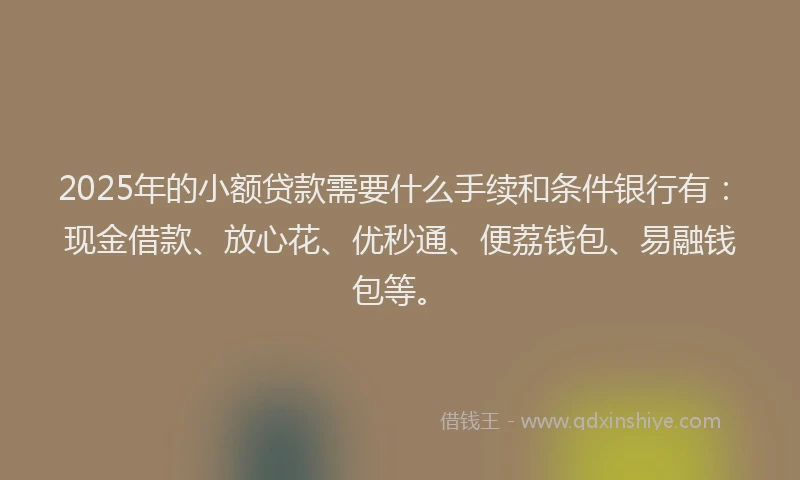 2025年的小额贷款需要什么手续和条件银行有：现金借款、放心花、优秒通、便荔钱包、易融钱包等。