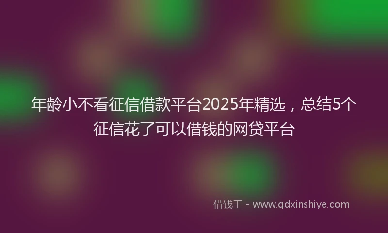 年龄小不看征信借款平台2025年精选，总结5个征信花了可以借钱的网贷平台
