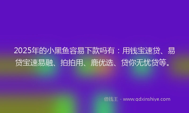 2025年的小黑鱼容易下款吗有：用钱宝速贷、易贷宝速易融、拍拍用、鹿优选、贷你无忧贷等。