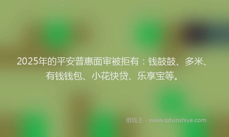 2025年的平安普惠面审被拒有：钱鼓鼓、多米、有钱钱包、小花快贷、乐享宝等。