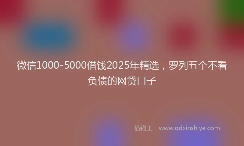 微信1000-5000借钱2025年精选，罗列五个不看负债的网贷口子