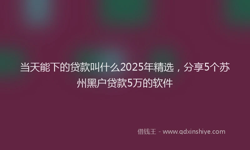 当天能下的贷款叫什么2025年精选，分享5个苏州黑户贷款5万的软件