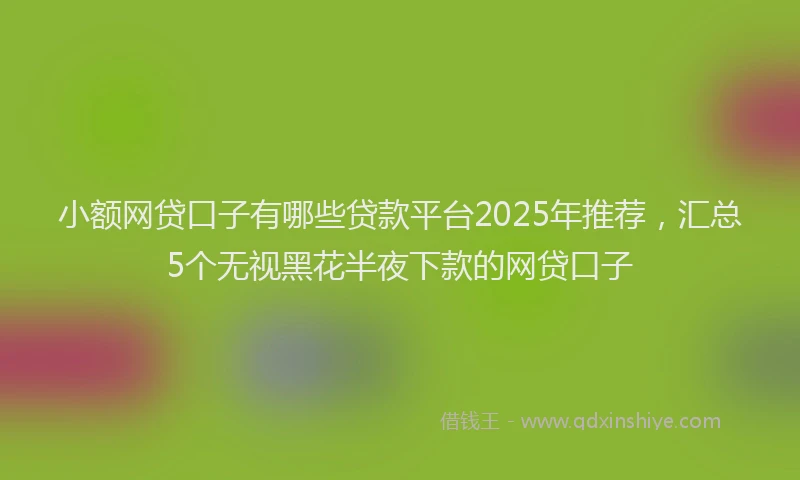 小额网贷口子有哪些贷款平台2025年推荐，汇总5个无视黑花半夜下款的网贷口子