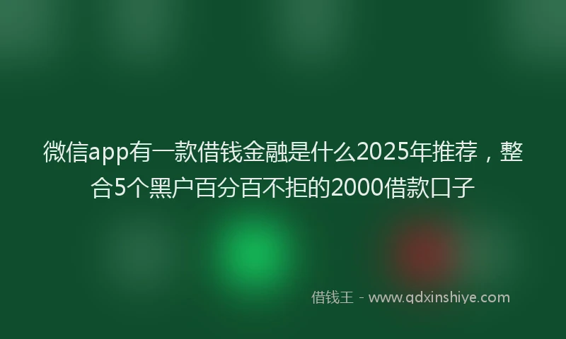微信app有一款借钱金融是什么2025年推荐，整合5个黑户百分百不拒的2000借款口子