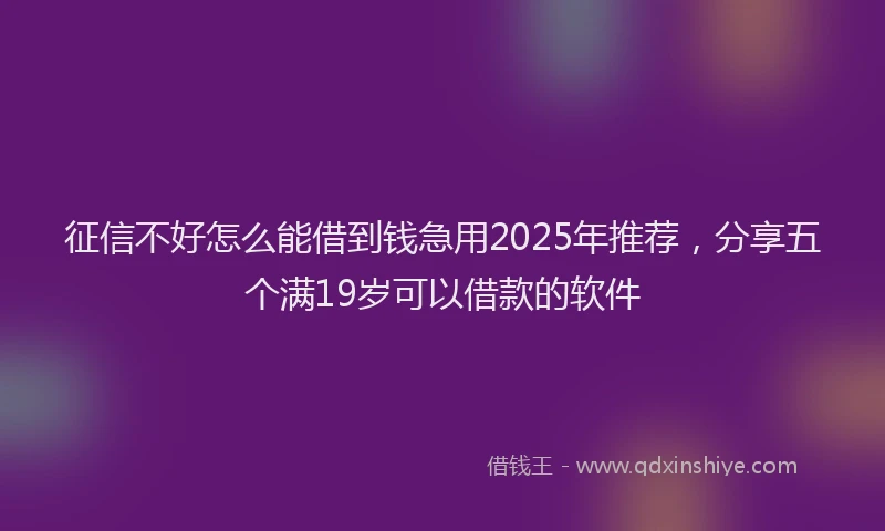 征信不好怎么能借到钱急用2025年推荐，分享五个满19岁可以借款的软件