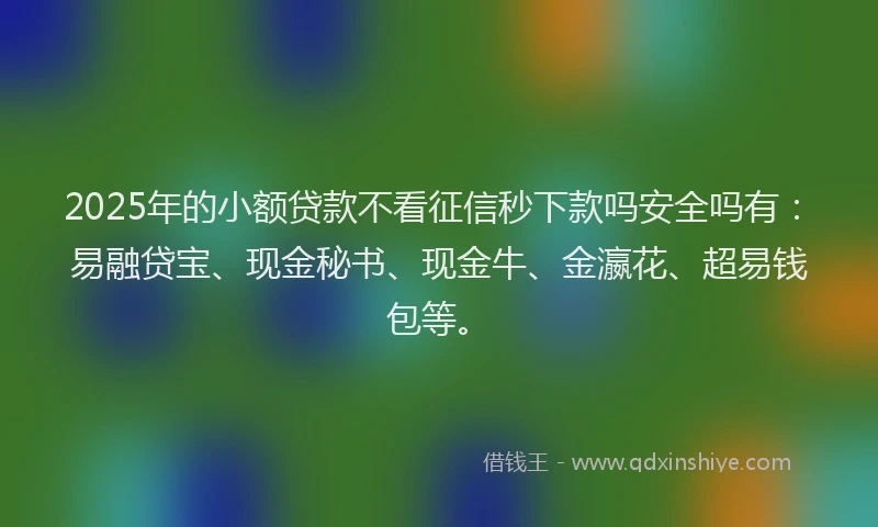 2025年的小额贷款不看征信秒下款吗安全吗有：易融贷宝、现金秘书、现金牛、金瀛花、超易钱包等。