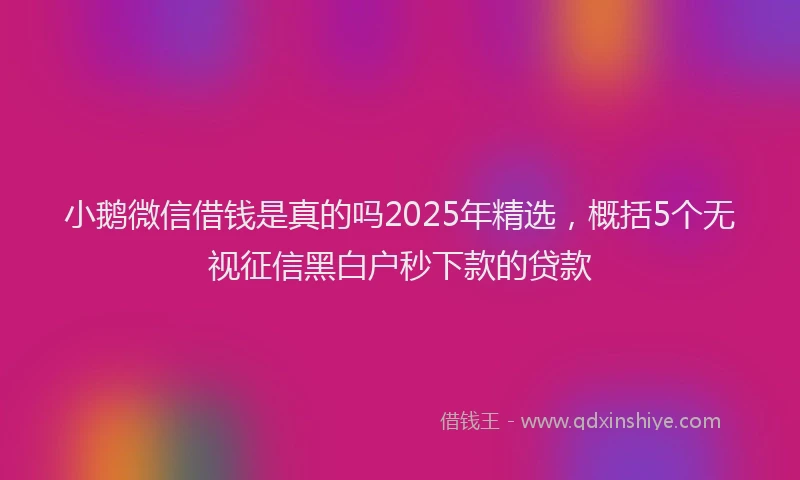小鹅微信借钱是真的吗2025年精选，概括5个无视征信黑白户秒下款的贷款