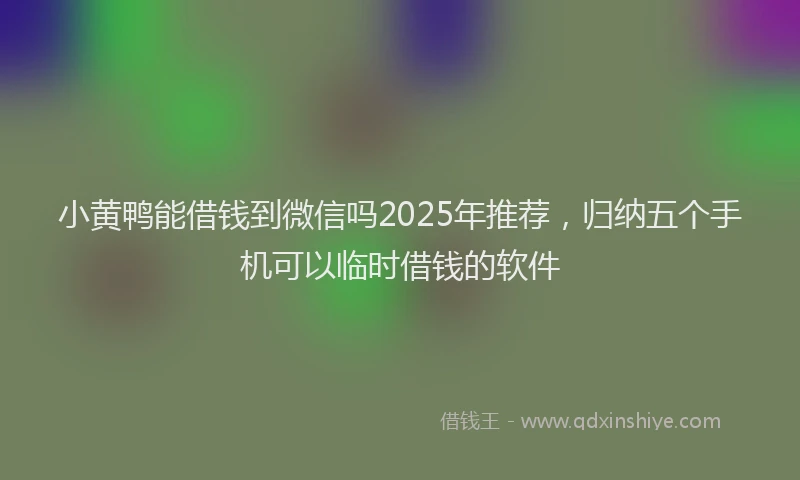 小黄鸭能借钱到微信吗2025年推荐，归纳五个手机可以临时借钱的软件