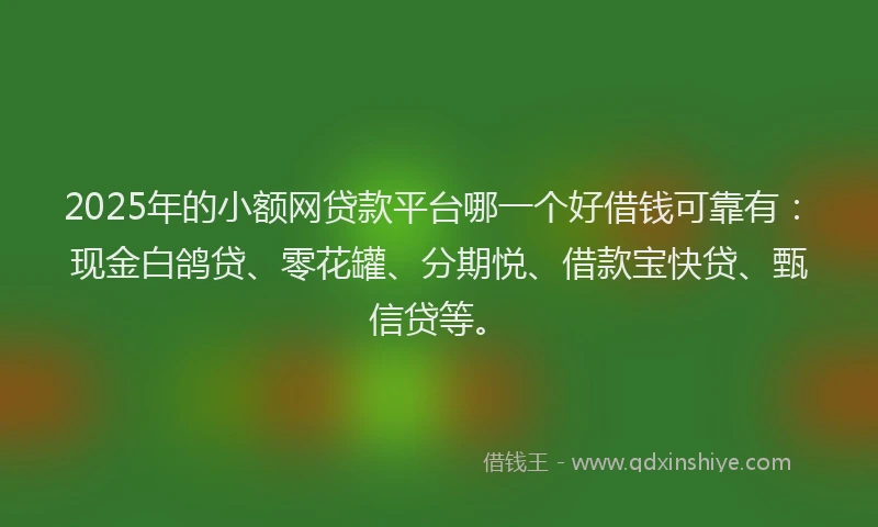 2025年的小额网贷款平台哪一个好借钱可靠有：现金白鸽贷、零花罐、分期悦、借款宝快贷、甄信贷等。