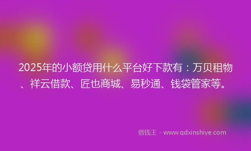 2025年的小额贷用什么平台好下款有：万贝租物、祥云借款、匠也商城、易秒通、钱袋管家等。