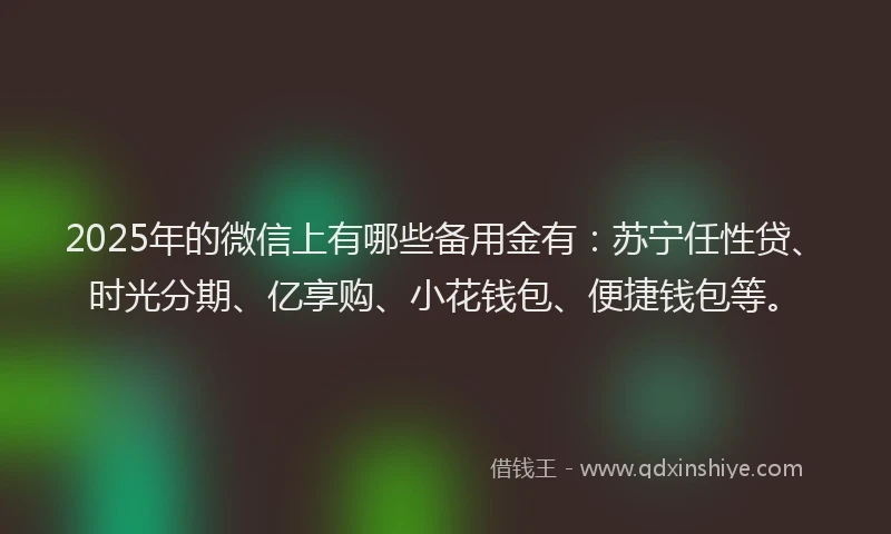2025年的微信上有哪些备用金有：苏宁任性贷、时光分期、亿享购、小花钱包、便捷钱包等。