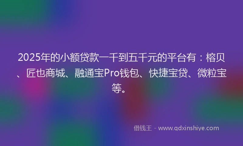 2025年的小额贷款一千到五千元的平台有：榕贝、匠也商城、融通宝Pro钱包、快捷宝贷、微粒宝等。