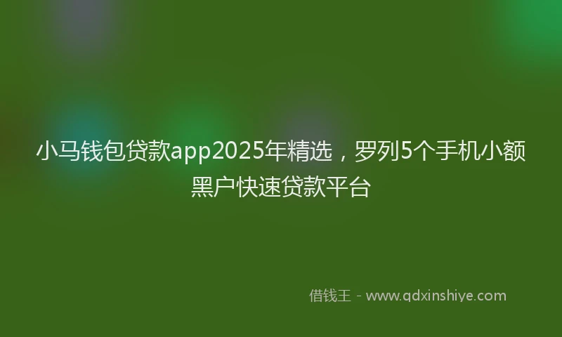 小马钱包贷款app2025年精选，罗列5个手机小额黑户快速贷款平台
