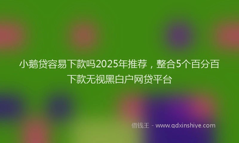小鹅贷容易下款吗2025年推荐，整合5个百分百下款无视黑白户网贷平台