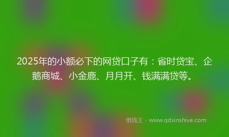 2025年的小额必下的网贷口子有：省时贷宝、企鹅商城、小金鹿、月月开、钱满满贷等。