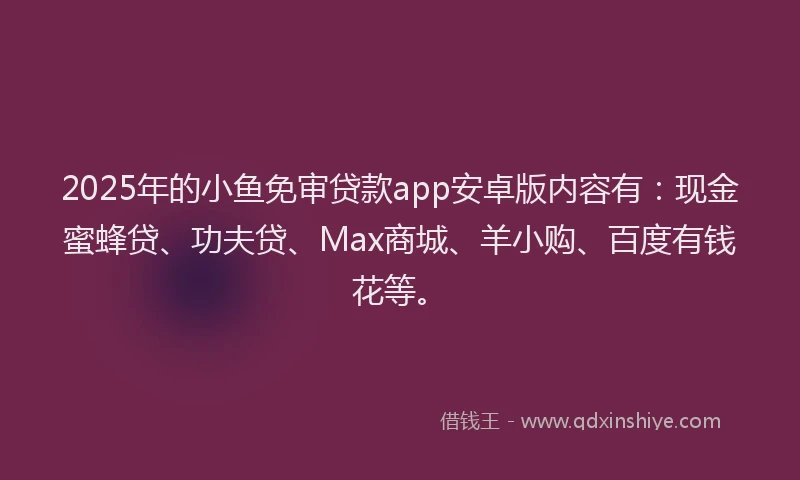 2025年的小鱼免审贷款app安卓版内容有：现金蜜蜂贷、功夫贷、Max商城、羊小购、百度有钱花等。