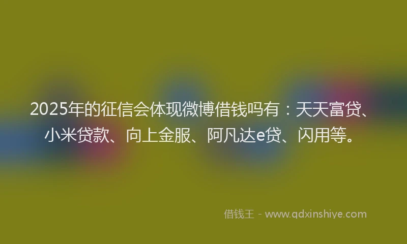 2025年的征信会体现微博借钱吗有：天天富贷、小米贷款、向上金服、阿凡达e贷、闪用等。
