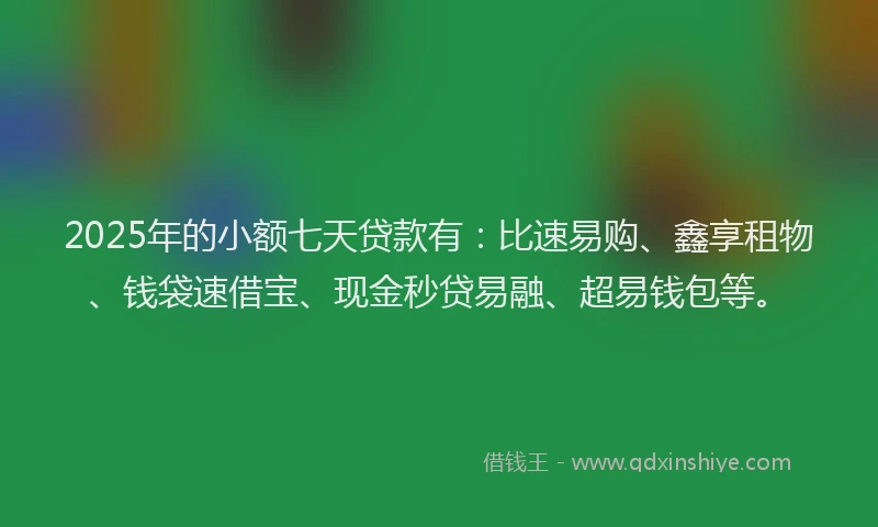 2025年的小额七天贷款有：比速易购、鑫享租物、钱袋速借宝、现金秒贷易融、超易钱包等。