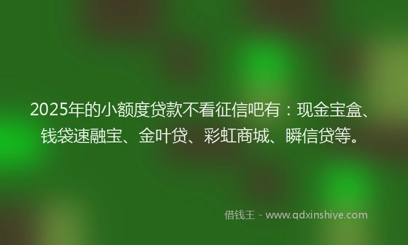 2025年的小额度贷款不看征信吧有：现金宝盒、钱袋速融宝、金叶贷、彩虹商城、瞬信贷等。