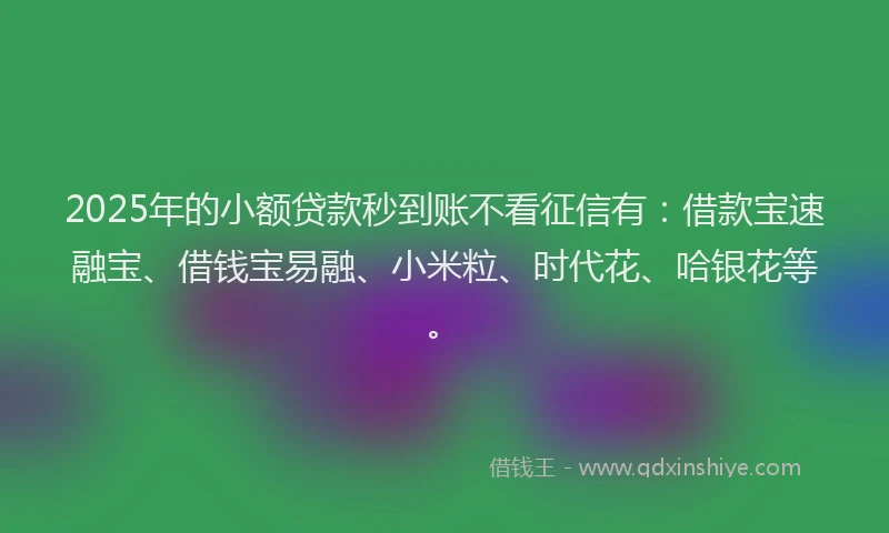 2025年的小额贷款秒到账不看征信有：借款宝速融宝、借钱宝易融、小米粒、时代花、哈银花等。