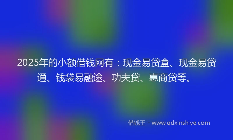 2025年的小额借钱网有：现金易贷盒、现金易贷通、钱袋易融途、功夫贷、惠商贷等。