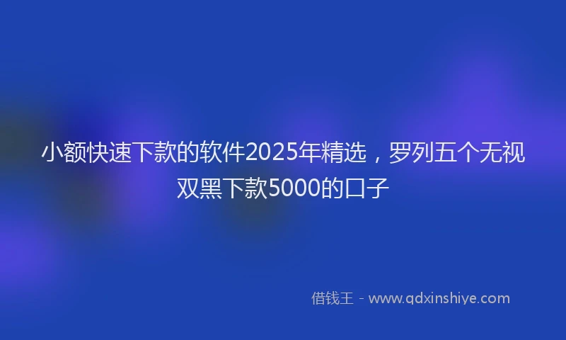 小额快速下款的软件2025年精选，罗列五个无视双黑下款5000的口子
