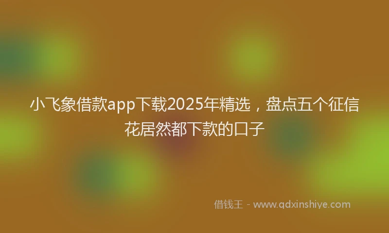 小飞象借款app下载2025年精选，盘点五个征信花居然都下款的口子