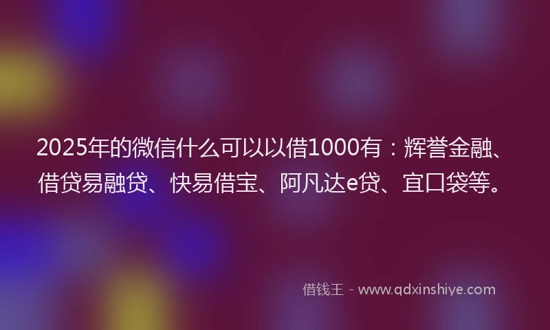 2025年的微信什么可以以借1000有：辉誉金融、借贷易融贷、快易借宝、阿凡达e贷、宜口袋等。