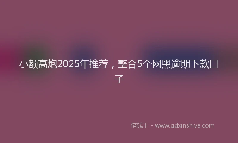 小额高炮2025年推荐，整合5个网黑逾期下款口子