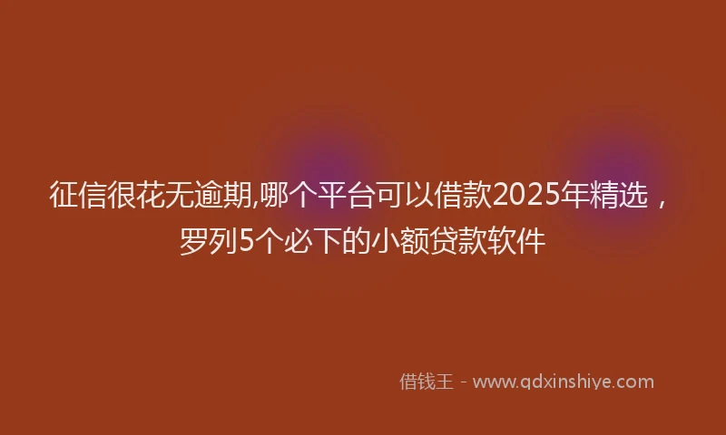 征信很花无逾期,哪个平台可以借款2025年精选，罗列5个必下的小额贷款软件