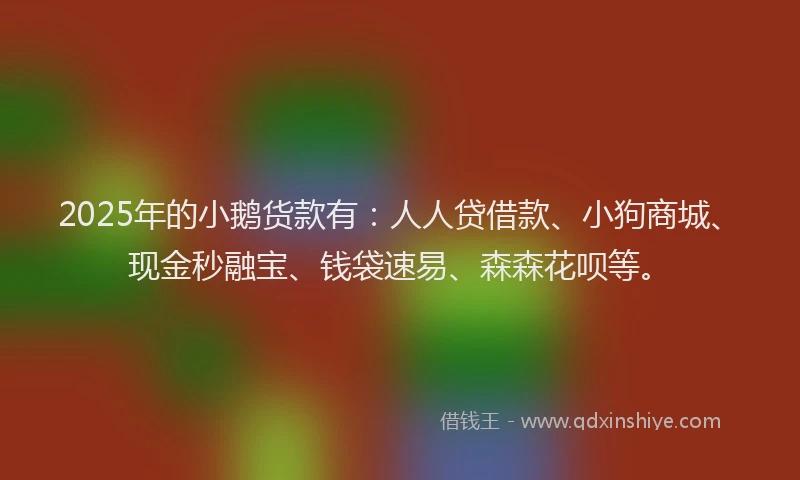 2025年的小鹅货款有：人人贷借款、小狗商城、现金秒融宝、钱袋速易、森森花呗等。